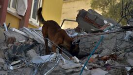 Proteo, el perrito rescatista que murió en Turquía y recibió épico homenaje en un partido de fútbol