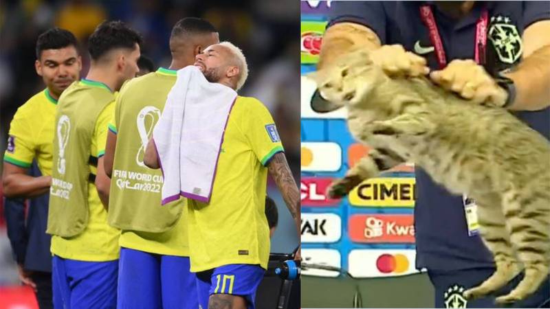 En redes sociales culparon al gato que se apareció en una rueda de prensa de la eliminación de Brasil.