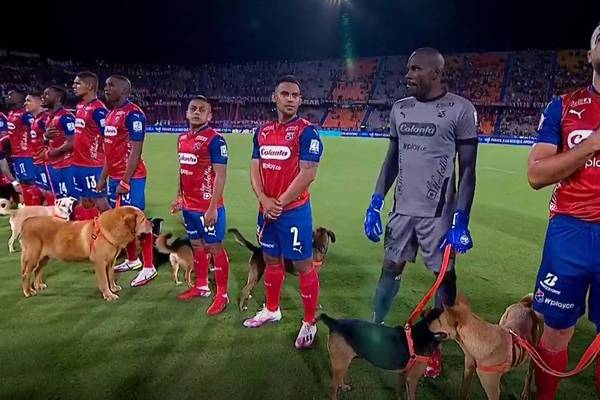 ¿Por qué los jugadores de Medellín salieron con perros a la cancha?