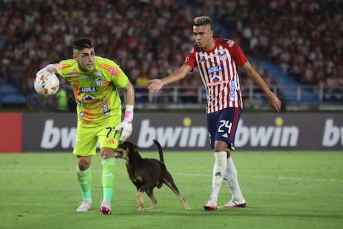 Perrito entró a la cancha durante el partido de la Libertadores y se ‘bailó' a un jugador del Junior